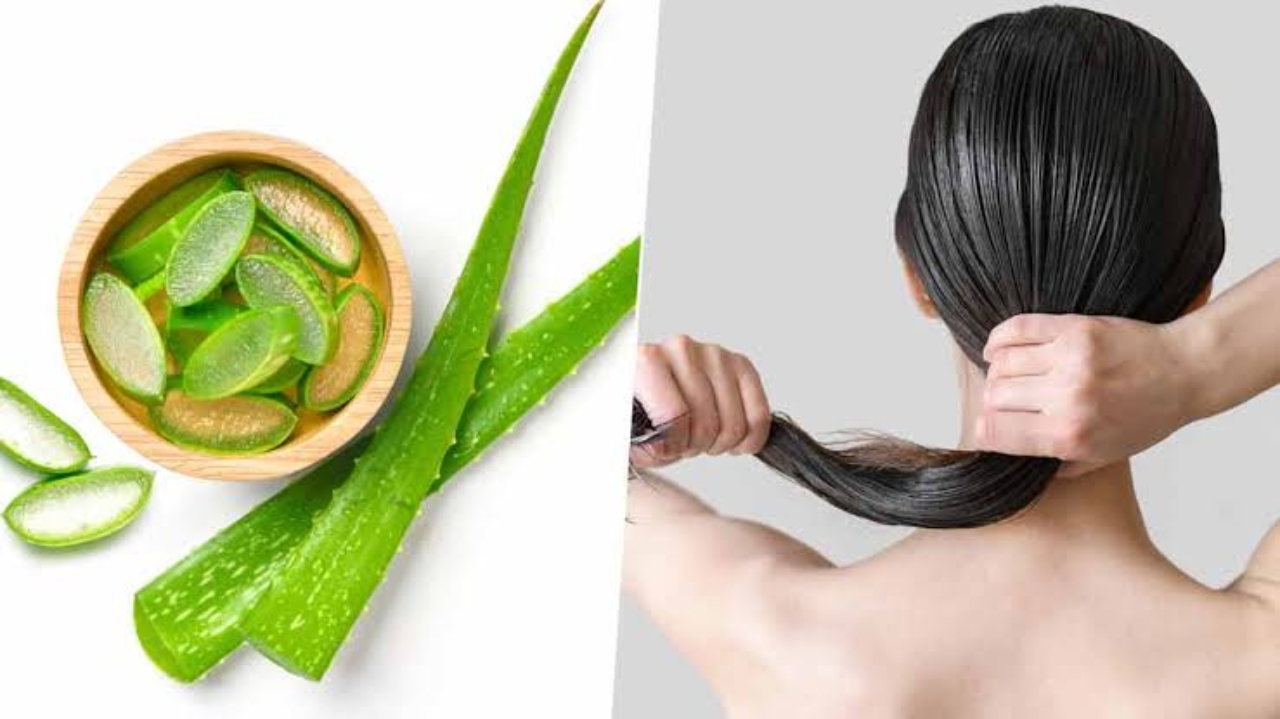 Aloe Vera for Hair