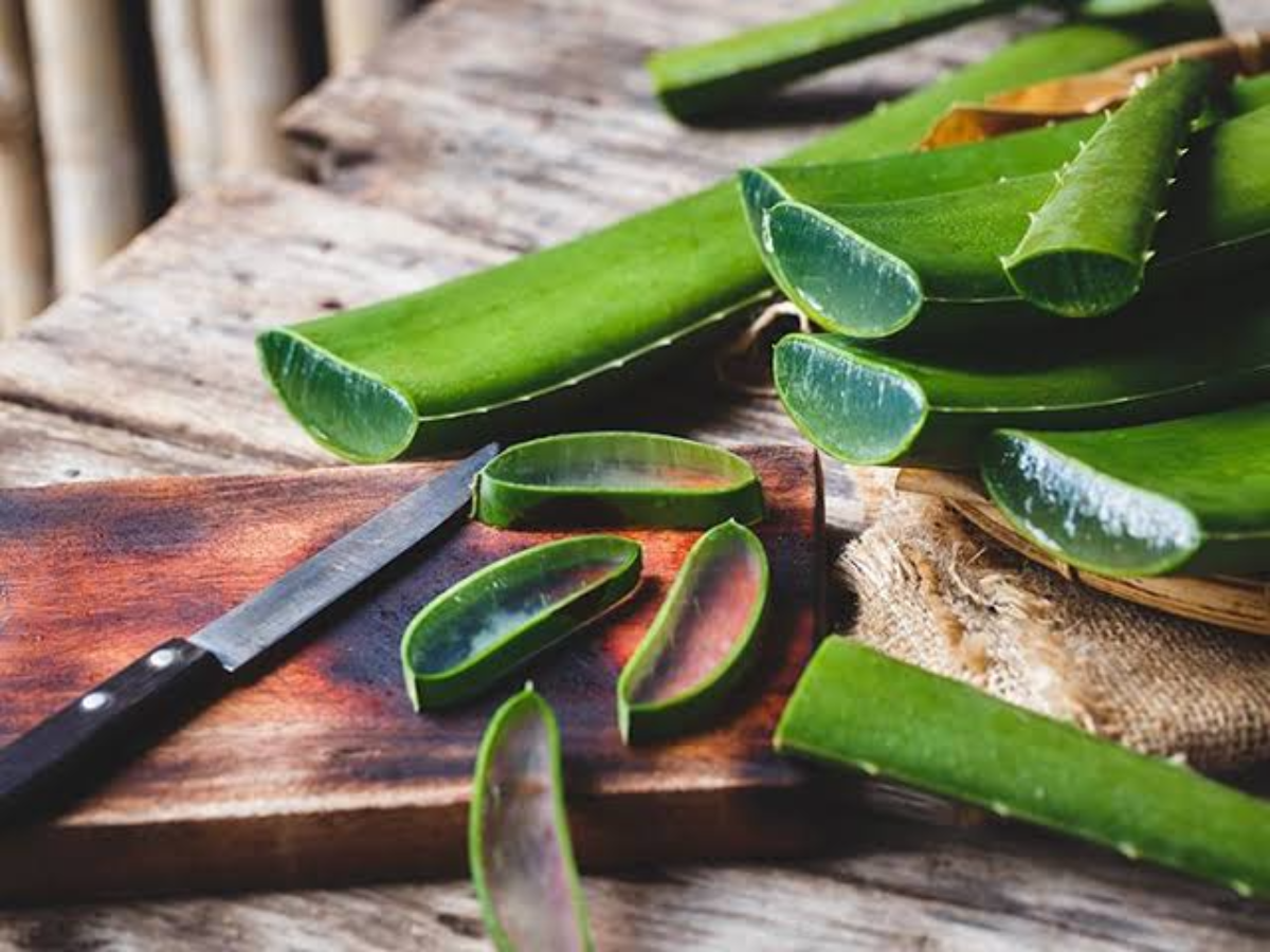 Aloe vera