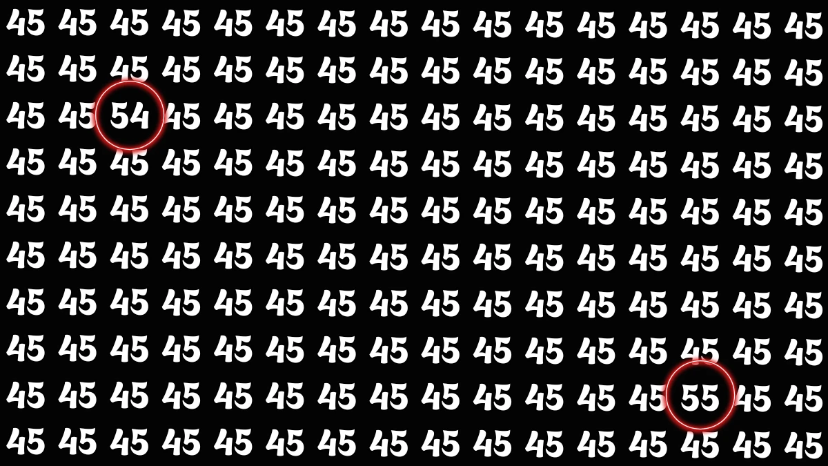 Spot the Hidden 455 in Just 15 Seconds And Test How Sharp Your Eyes Really Are